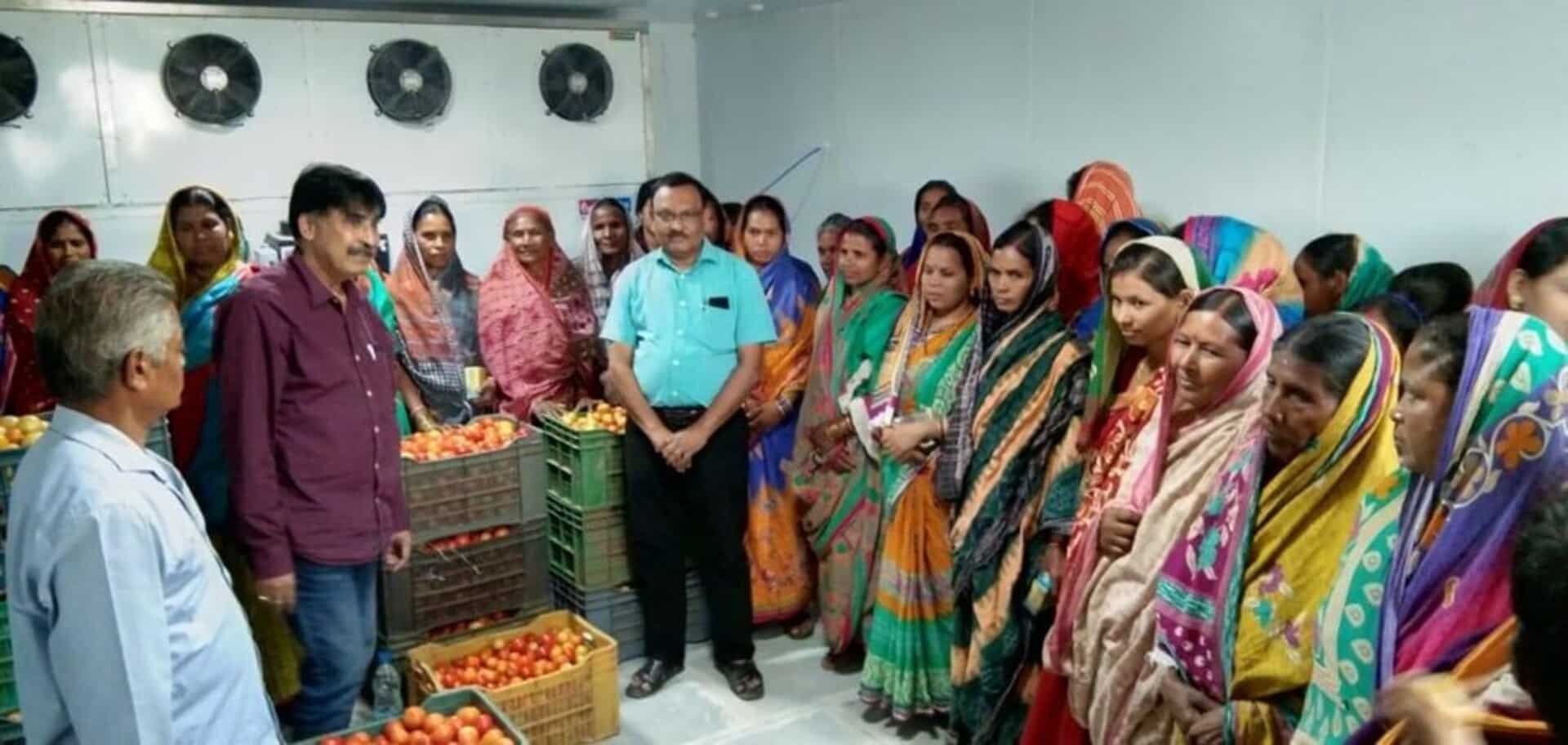 MasterPeace India (JRP): Farmers Reduced Distress Sale of Vegetables Due to Solar Cold Storage