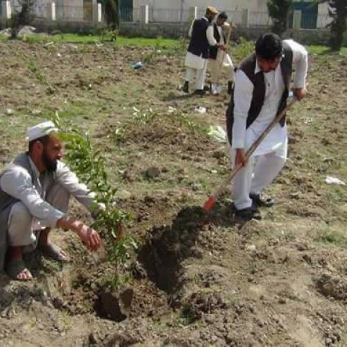 MASTERPEACE AFGHANISTAN 2