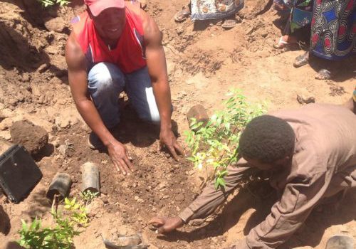 MASTERPEACE-MALAWI-PLANTING-THE-SEEDS-OF-PEACE-cover-o8tf1g4mbbjigfkfiqigw7nfxu2x3hq8gnx8w7m7wo