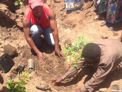 MASTERPEACE MALAWI PLANTING THE SEEDS OF PEACE cover