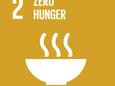 SDG2